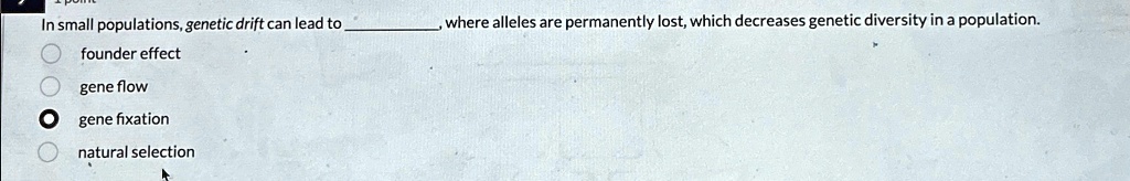 In small populations, genetic drift can lead to , where alleles are permanently lost, which decreases genetic diversity in a population.

founder effect
gene flow
gene fixation
natural selection