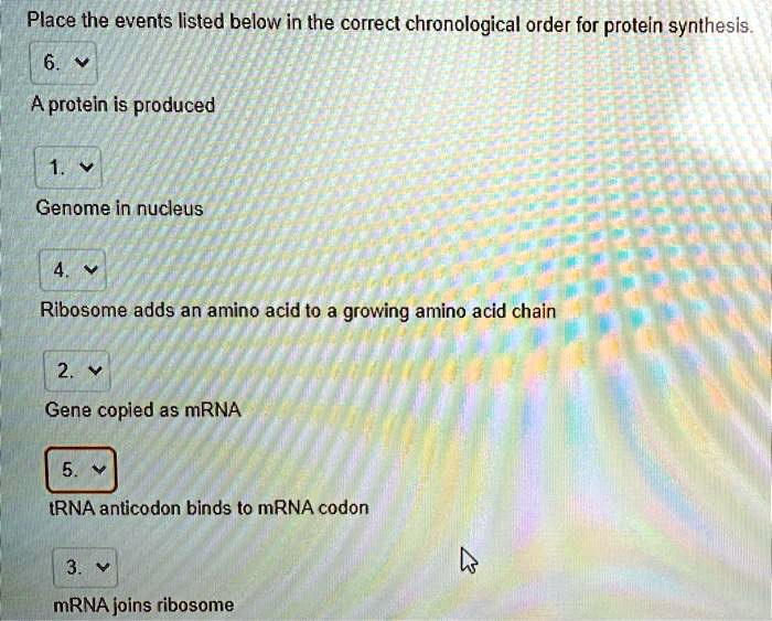 SOLVED is this right? Place the events listed below in the correct