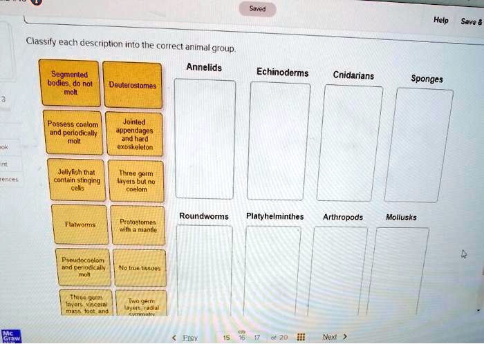 SOLVED: Classify each description into the correct animal group