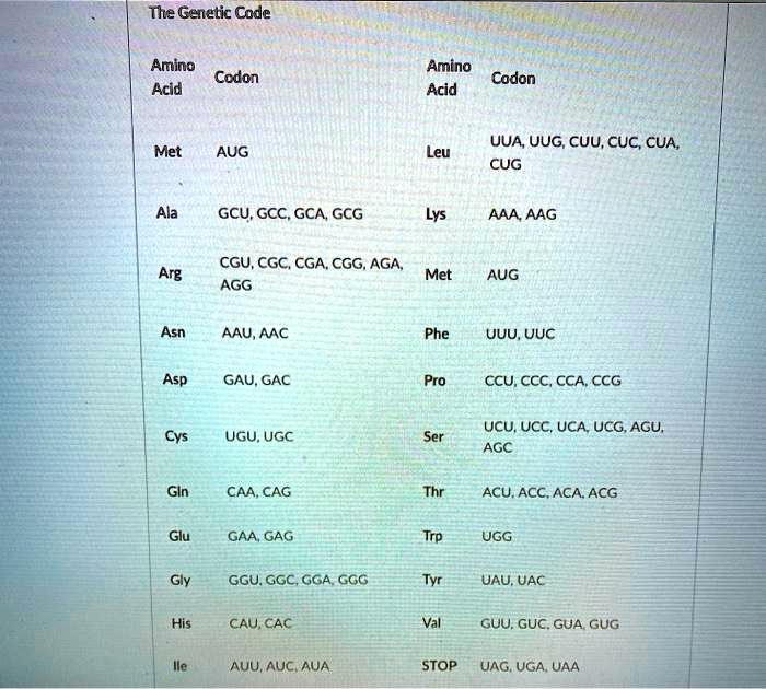 SOLVED: The Genetic Code Amino Codon Acid Amino Codon Acid UUA UUG, CUU ...