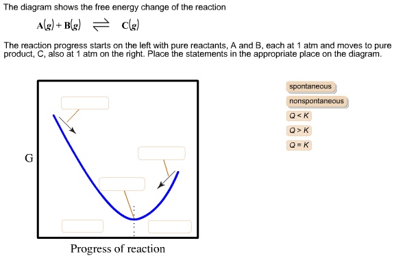 SOLVED: ' The diagram shows the free energy change of the reaction The ...