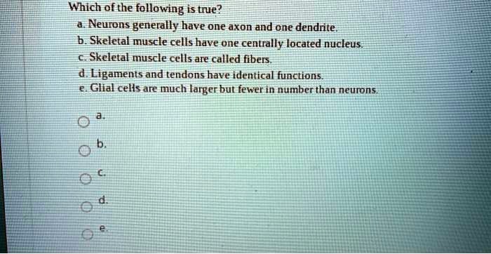 Which of the following is true?
a. Neurons generally have one axon and one dendrite.
b. Skeletal muscle cells have one centrally located nucleus.
c. Skeletal muscle cells are called fibers.
d. Ligaments and tendons have identical functions.
e. Glial cells are much larger but fewer in number than neurons.