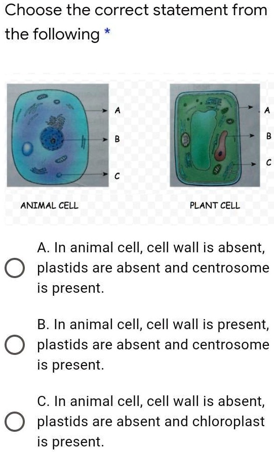SOLVED: 'some one pls answer this question Choose the correct statement  from the following ANIMAL CELL PLANT CELL A. In animal cell, cell wall is  absent, 0 plastids are absent and centrosome