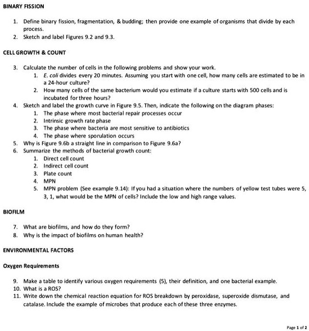 help binary fission 1 define binary fissionfragmentation budding then
