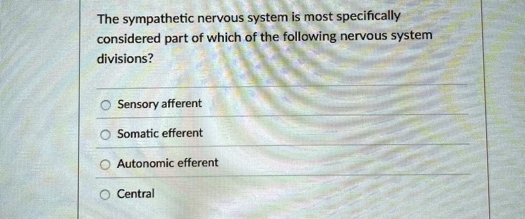The sympathetic nervous system is most specifically
considered part of which of the following nervous system
divisions?
Sensory afferent
Somatic efferent
Autonomic efferent
Central