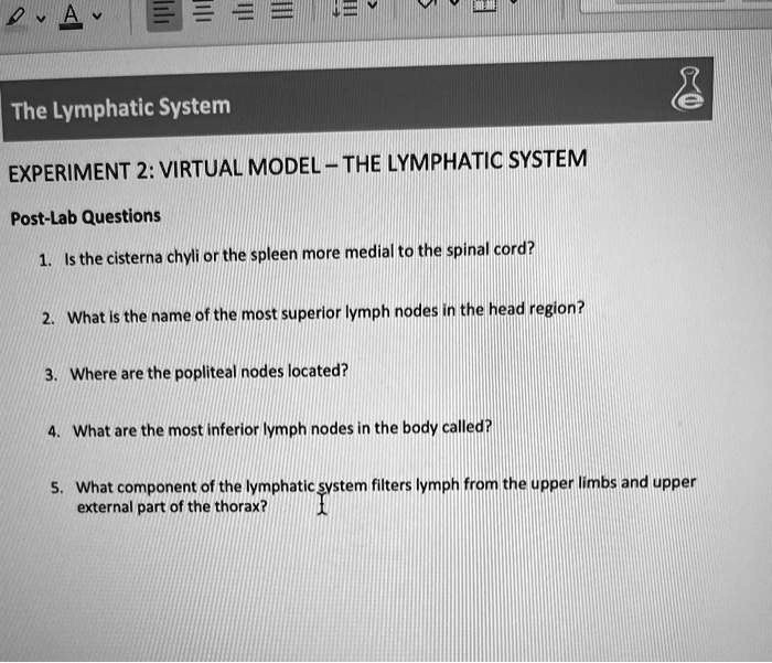 SOLVED The Lymphatic System EXPERIMENT 2 VIRTUAL MODEL THE