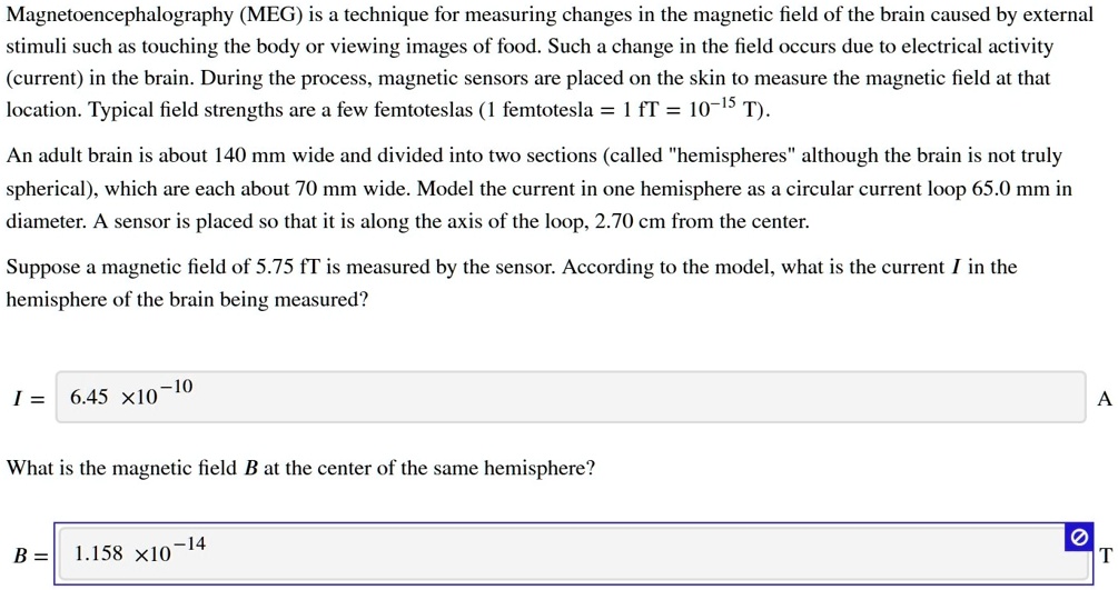 (MEG) is a technique for measuring