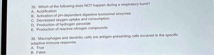 Solved: 35. Which Of The Following Does Not Happen During A Respiratory 