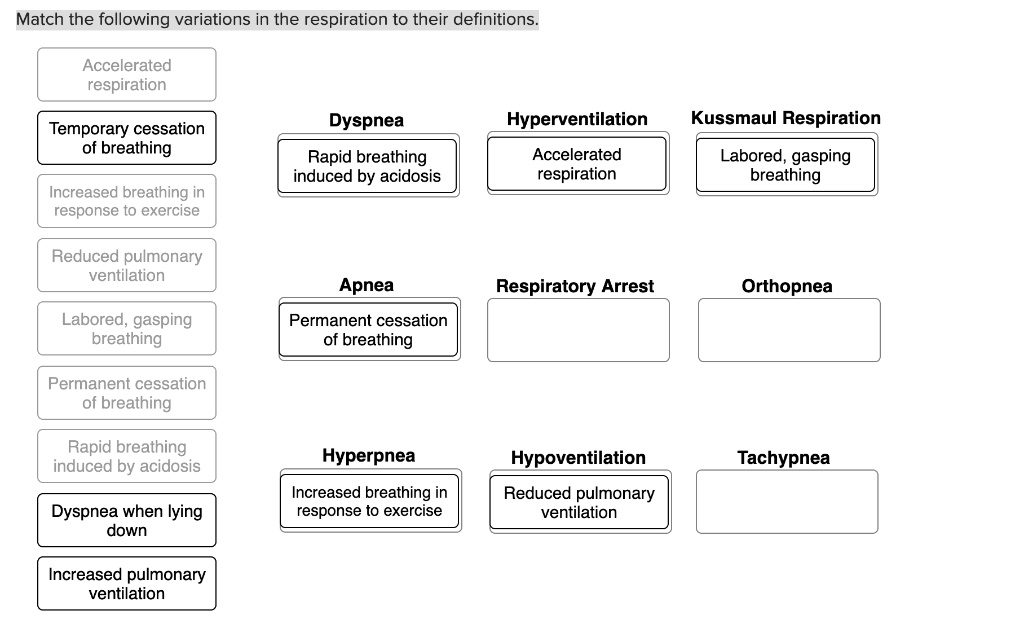 SOLVED: Match The Following Variations In The Respiration To Their ...