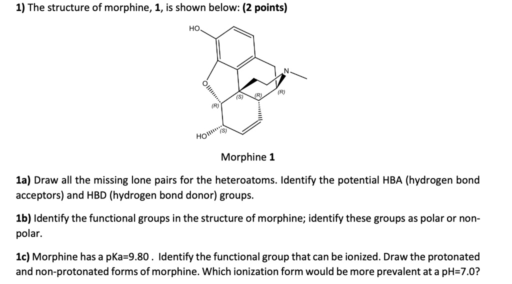 SOLVED: 1) The Structure Of Morphine,1,is Shown Below: (2 Points) HO ...