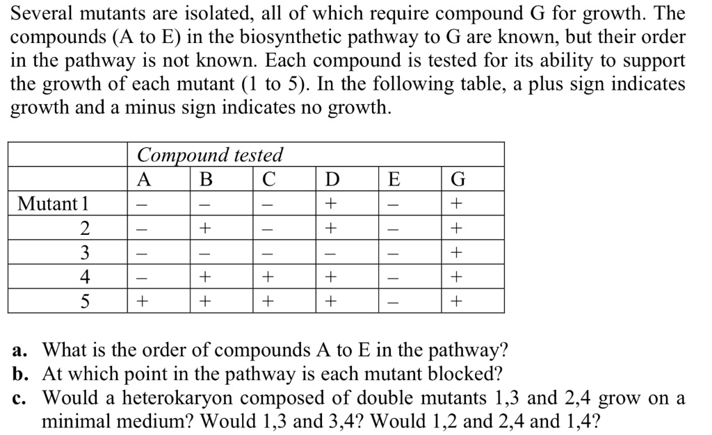 Several mutants are isolated, all of which require compound G for growth. The compounds (A to E) in the biosynthetic pathway to G are known, but their order in the pathway is not known. Each compound is tested for its ability to support the growth of each mutant (1 to 5). In the following table, a plus sign indicates growth and a minus sign indicates no growth.

Compound tested
	A	B	C	D	E	G
Mutant 1	-	-	-	+	-	+
2	-	+	-	+	-	+
3	-	-	-	-	-	+
4	-	+	+	+	-	+
5	+	+	+	+	-	+

a. What is the order of compounds A to E in the pathway?
b. At which point in the pathway is each mutant blocked?
c. Would a heterokaryon composed of double mutants 1,3 and 2,4 grow on a minimal medium? Would 1,3 and 3,4? Would 1,2 and 2,4 and 1,4?