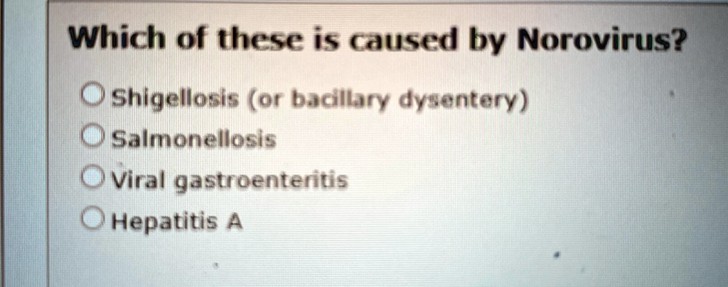 Which of these is caused by Norovirus?
Shigellosis (or bacillary dysentery)
Salmonellosis
Viral gastroenteritis
Hepatitis A