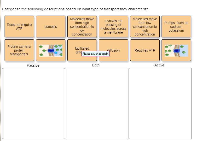 Categorize the following descriptions based on what type of transport they characterize.
Does not require ATP
osmosis
Molecules move from high concentration to low concentration
Involves the passing of molecules across a membrane
Molecules move from low concentration to high concentration
Pumps, such as sodium-potassium
Protein carriers/ protein transporters
facilitated diffusion
Requires ATP
Passive
Both
Active