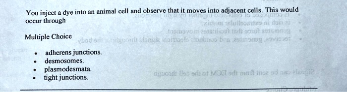 SOLVED: You inject dye into an animal cell and observe that it moves ...