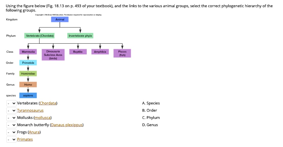 SOLVED: Using the figure below (Fig: 18.13 on page 493 of your textbook