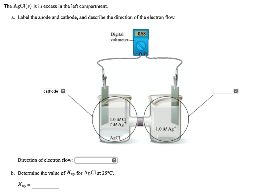 SOLVED: The AgCl(s) is in excess in the left compartment Label the ...
