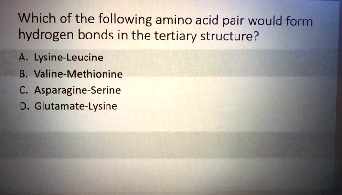 Which of the following amino acid pair would form hydrogen bonds in the tertiary structure?

A. Lysine-Leucine
B. Valine-Methionine
C. Asparagine-Serine
D. Glutamate-Lysine