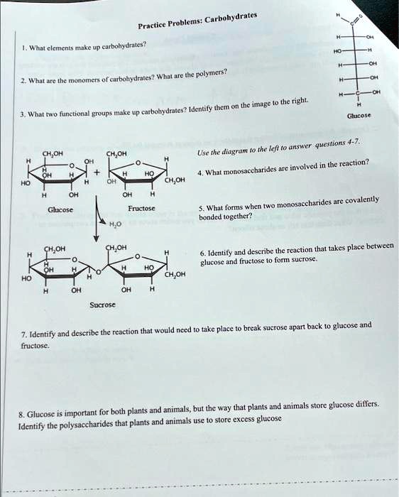 SOLVED Practice Problems Carbohydrates I What Elements Make Up solved-practice-problems-carbohydrates-i-what-elements-make-up