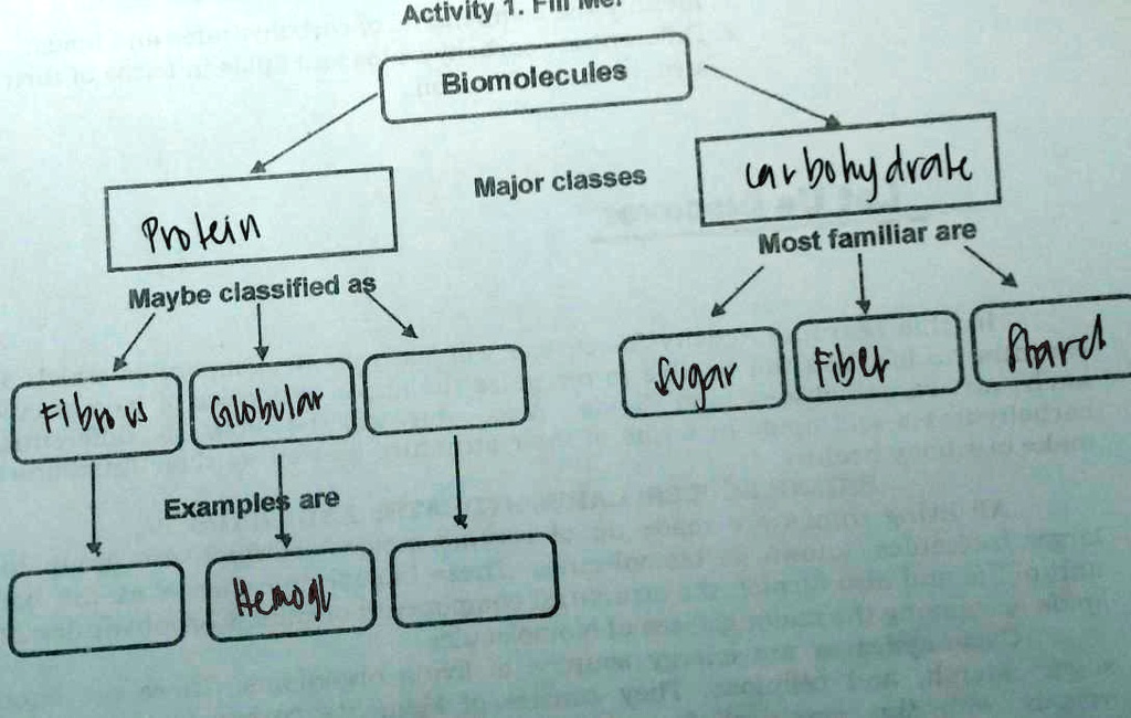 SOLVED 'pa answer po ako salamat Tul Activity Biomolecules Major