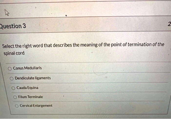 SOLVED: Select the correct word that describes the point of termination ...