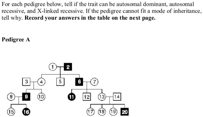 SOLVED: For each pedigree below, tell if the trait can be autosomal ...