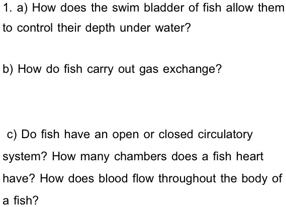 SOLVED: 1. a) How does the swim bladder of fish allow them to control