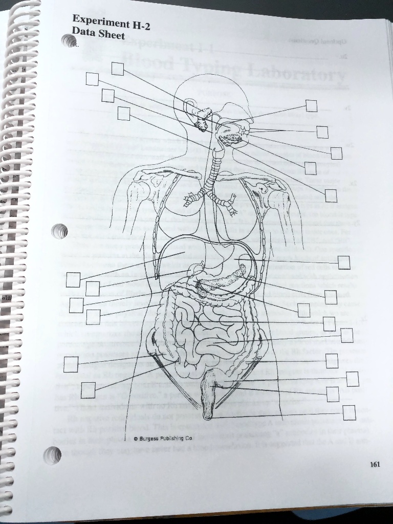 experiment data h 2 sheet burgess plbi shing ca 161 26902
