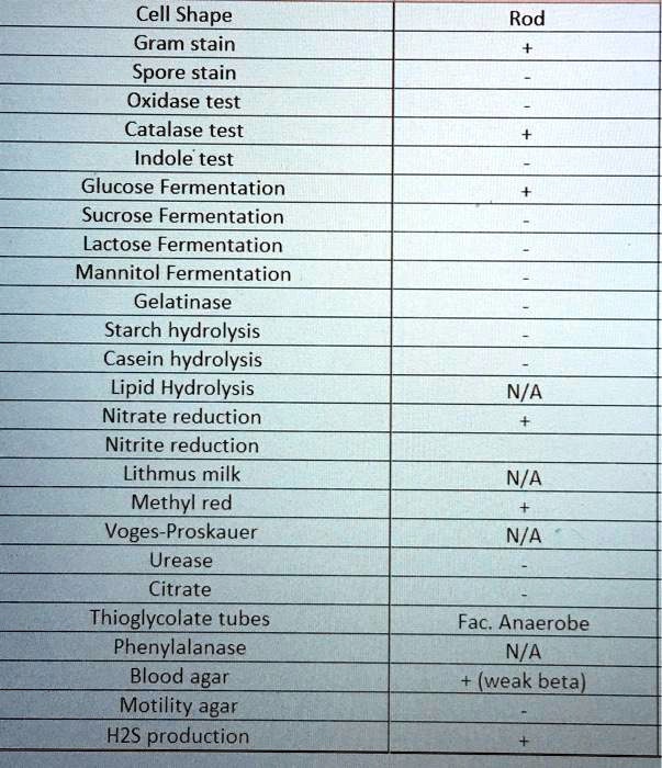 SOLVED: Cell Shape Gram stain Spore stain Oxidase test Catalase test ...