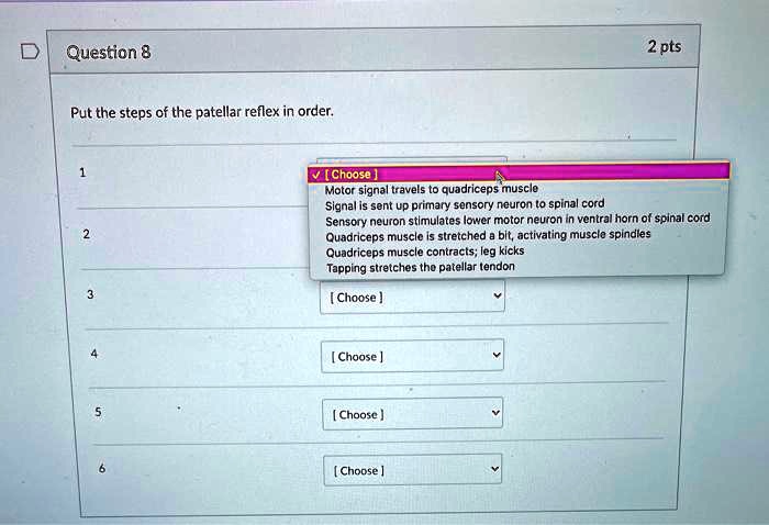 Question 8
2 pts
Put the steps of the patellar reflex in order.
1
2
3
4
5
6
Motor signal travels to quadriceps muscle
Signal is sent up primary sensory neuron to spinal cord
Sensory neuron stimulates lower motor neuron in ventral horn of spinal cord
Quadriceps muscle is stretched a bit, activating muscle spindles
Quadriceps muscle contracts; leg kicks
Tapping stretches the patellar tendon
