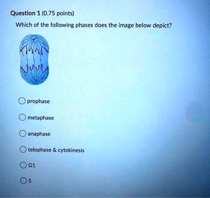 SOLVED Question 1 (0.75 points) Which of the following phases does the