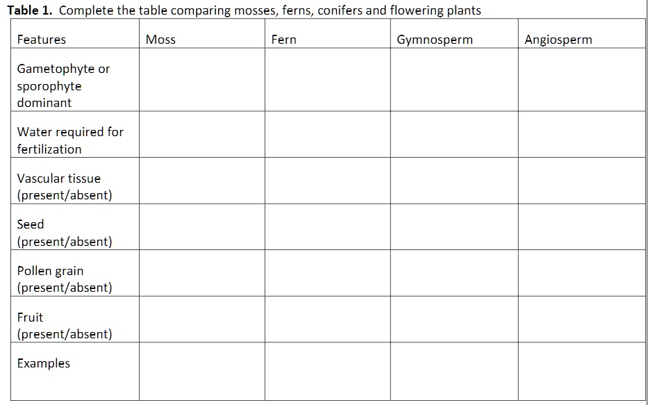 SOLVED: Table 1: Comparison of Mosses, Ferns, Gymnosperms, and ...