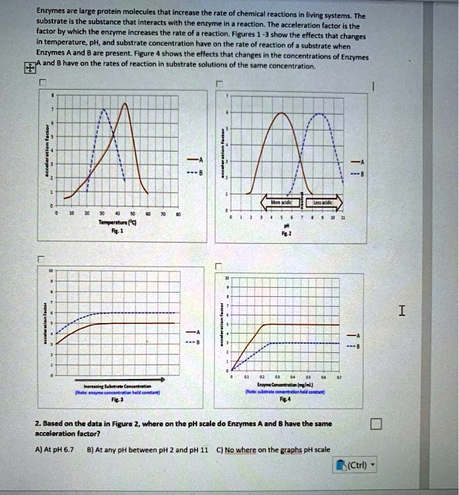 SOLVED Enzymes are large protein molecules that increase the rate of