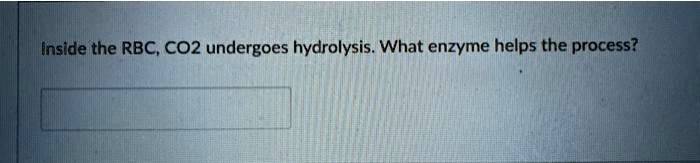 Hydrolysis Rbc Inside the rbc co2 undergoes hydrolysis what enzyme helps...