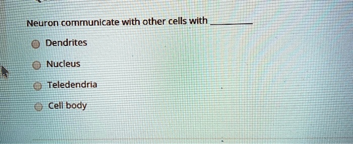 neuron communicate with other cells with dendrites nucleus teledendria cell body 14039
