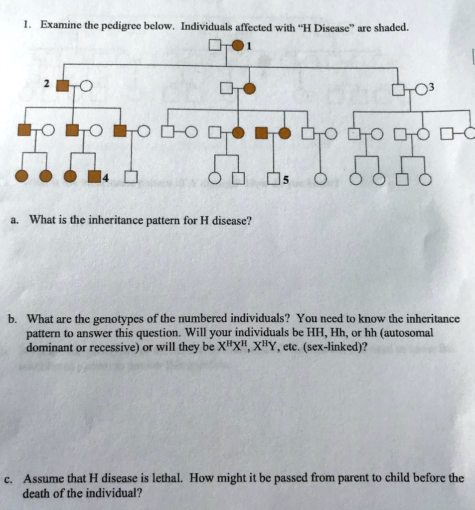 examine the pedigree below individuals affected with h disease are ...
