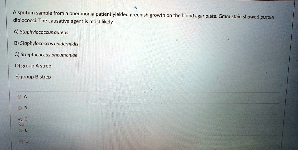 solved-sputum-sample-from-a-pneumonia-patient-yielded-greenish-growth