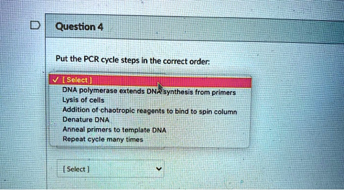 question 4 put the pcr cycle steps in the correct order scleci dna ...