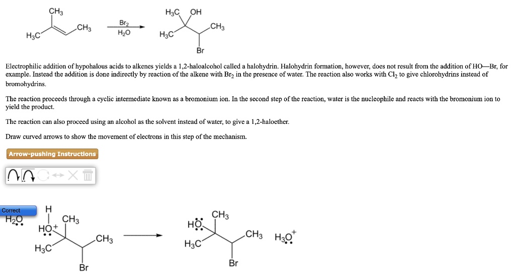 Solved Ch3 H3c Oh Ch3 H3c Ch3 H3c H2o Electrophilic Addition Of Hypohalous Acids To Alkenes 5267