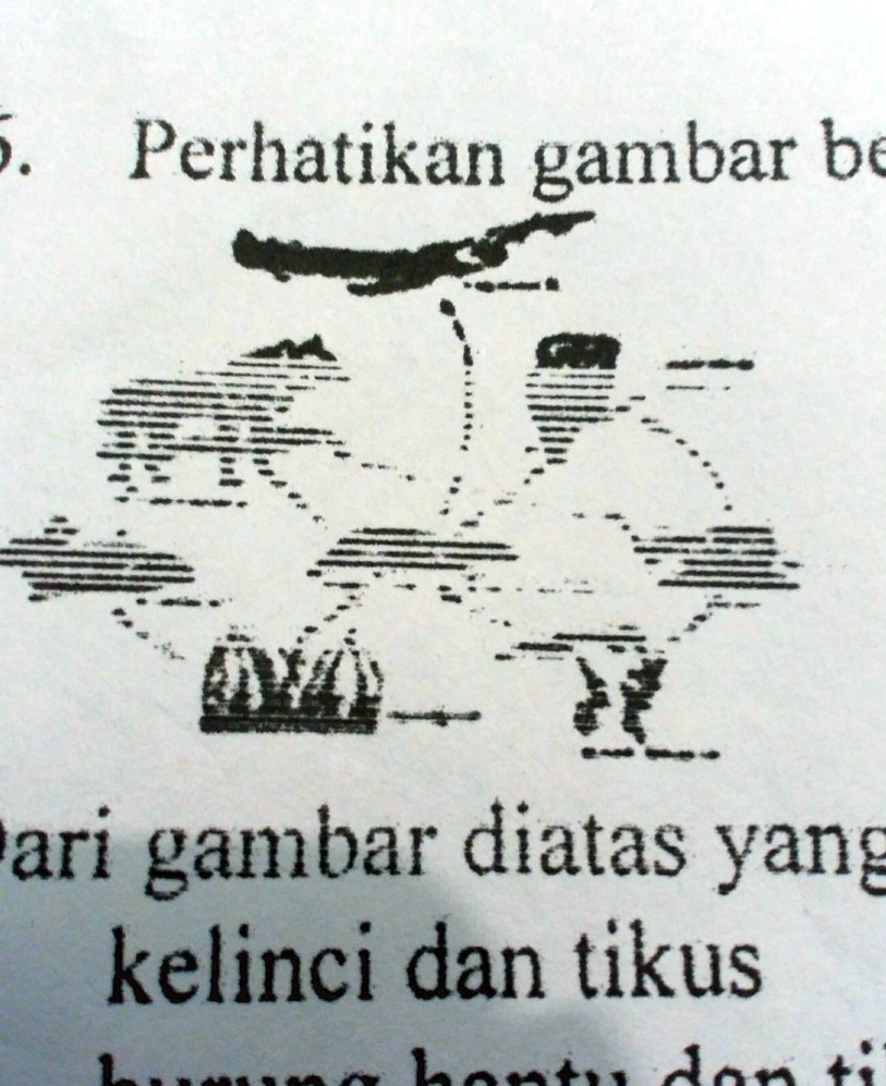 Solved Perhatikan Gambar Berikut Dari Gambar Di Atas Berkedudukan