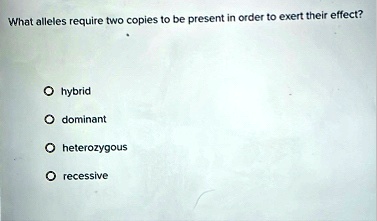 what alleles require two copies to be present in order to exert their effect o hybrid o dominant o heterozygous o recessive 28023