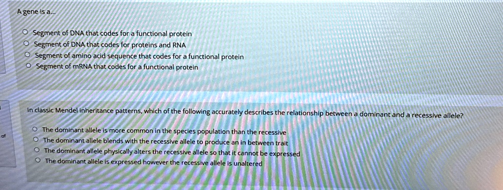 A gene is a... ? Segment of DNA that codes for a functional protein ...