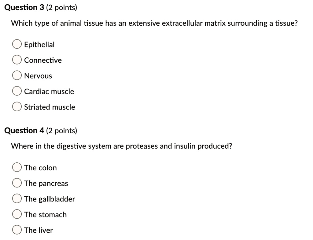 SOLVED: Question 3 (2 points) Which type of animal tissue has an extensive  extracellular matrix surrounding a tissue? Epithelial Connective Nervous  Cardiac muscle Striated muscle Question 4 (2 points) Where in the