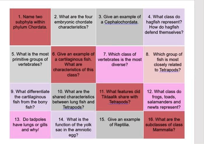 SOLVED: Name two subphyla within phylum Chordata 2. What are the four 3