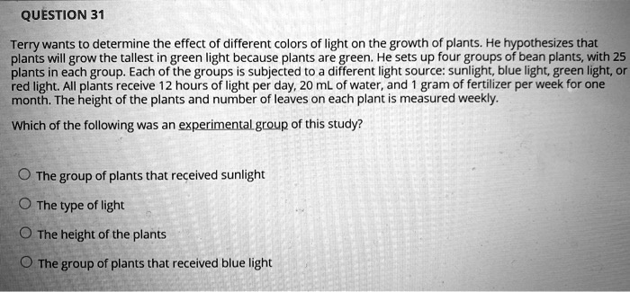 QUESTION 31

Terry wants to determine the effect of different colors of light on the growth of plants. He hypothesizes that plants will grow the tallest in green light because plants are green. He sets up four groups of bean plants, with 25 plants in each group. Each of the groups is subjected to a different light source: sunlight, blue light, green light, or red light. All plants receive 12 hours of light per day, 20 mL of water, and 1 gram of fertilizer per week for one month. The height of the plants and number of leaves on each plant is measured weekly.

Which of the following was an experimental group of this study?

O The group of plants that received sunlight

O The type of light

O The height of the plants

O The group of plants that received blue light