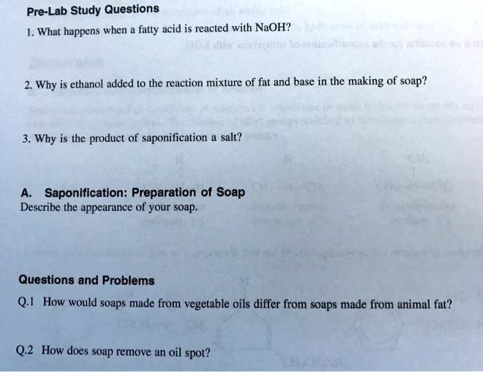 SOLVED PreLab Study Questions 1. What happens when fatty acid is