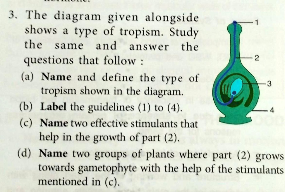 3 The Diagram Given Alongside Shows A Type Of Tropism Study The Same 3 the diagram given alongside shows a type of tropism study the same