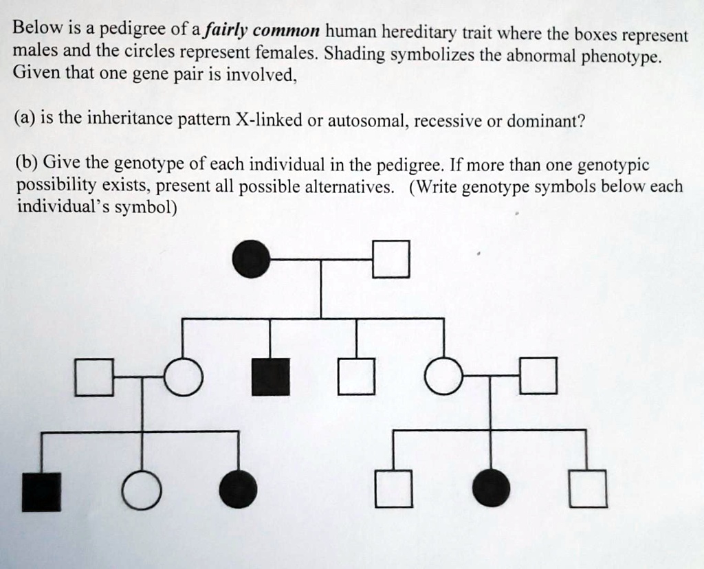 Gene, image size:1024x828