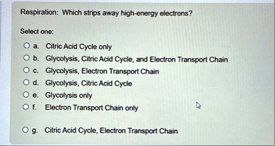 respiration which strips away high energy electrons select one a citric acid cycle only b glycolysis citric acid cycle and electron transport chain c glycolysis electron transport chain d gl 40132