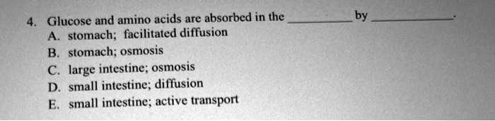 Solved Glucose And Amino Acids Are Absorbed In The Stomach