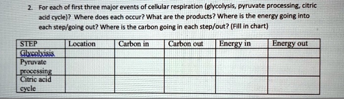 2. For each of first three major events of cellular respiration (glycolysis, pyruvate processing, citric acid cycle)? Where does each occur? What are the products? Where is the energy going into each step/going out? Where is the carbon going in each step/out? (Fill in chart)

STEP | Location | Carbon in | Carbon out | Energy in | Energy out
Glycolyisis | | | | | 
Pyruvate processing | | | | | 
Citric acid cycle | | | | |